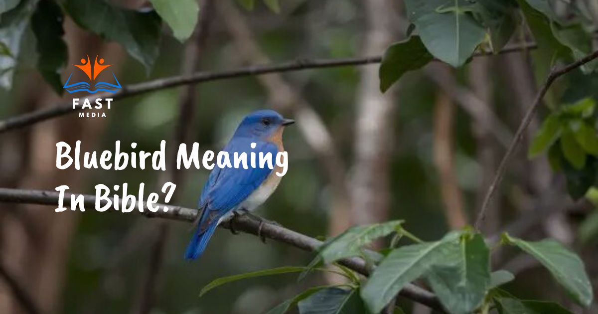 bluebird-meaning-in-bible