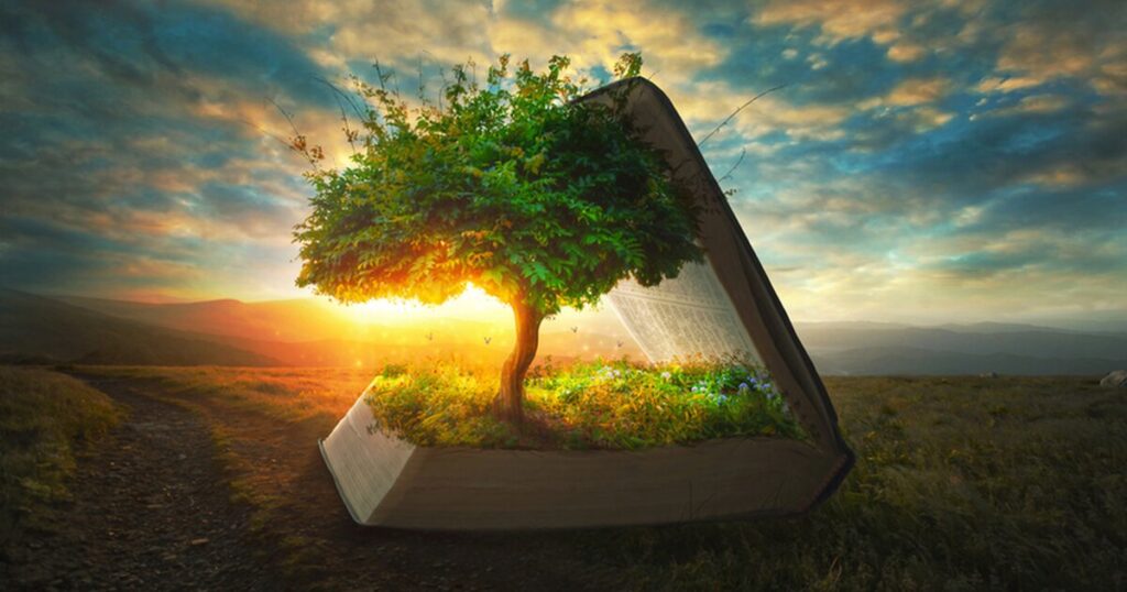 A book with a tree growing from it in a field, symbolizing growth and wisdom, reflecting Bible Verses about The Number 5.