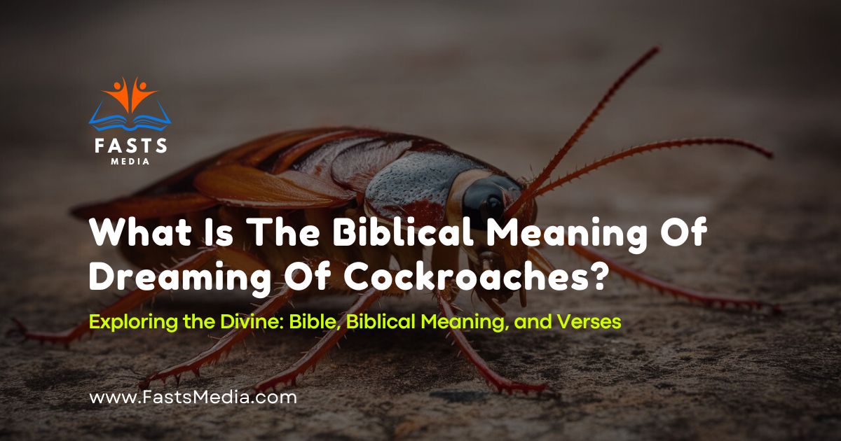 What Is The Biblical Meaning Of Dreaming Of Cockroaches?